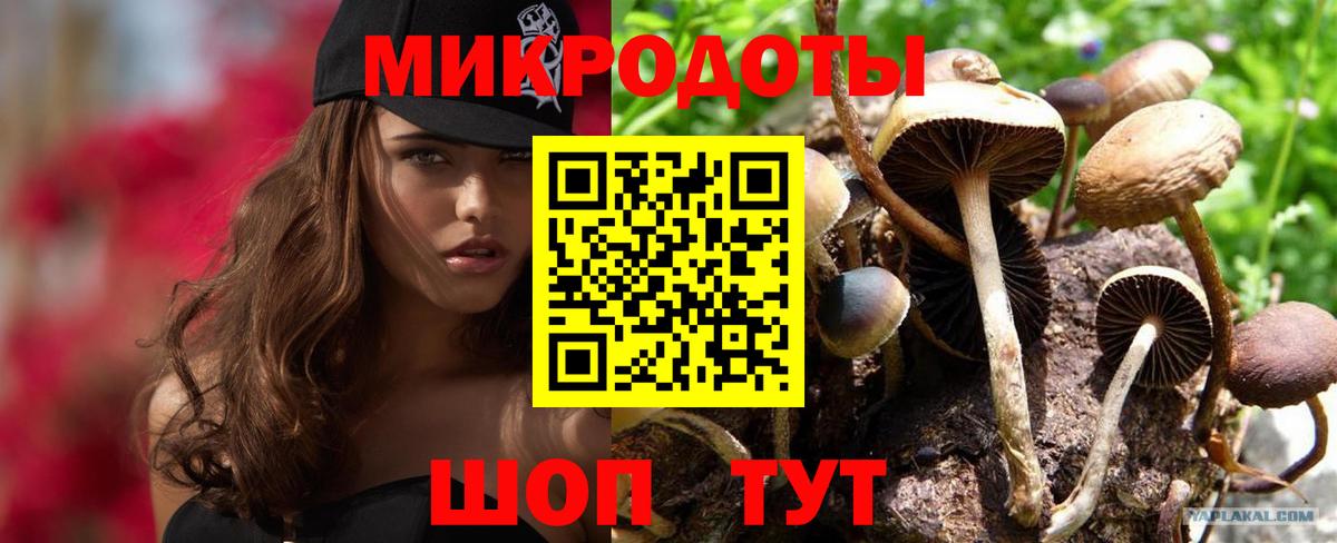 Псилоцибиновые грибы мухоморы Борзя